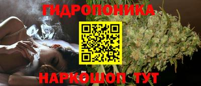 гидропоника Нальчик
