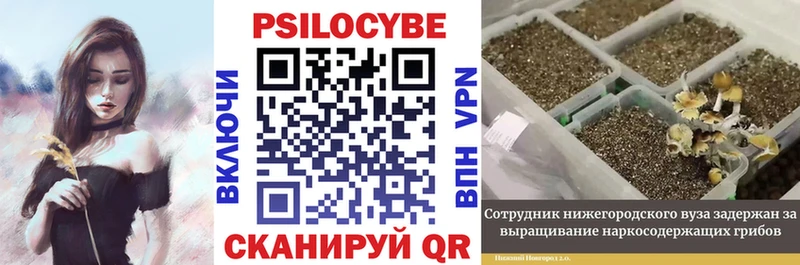 Галлюциногенные грибы GOLDEN TEACHER  даркнет Telegram  Туймазы  где найти наркотики 