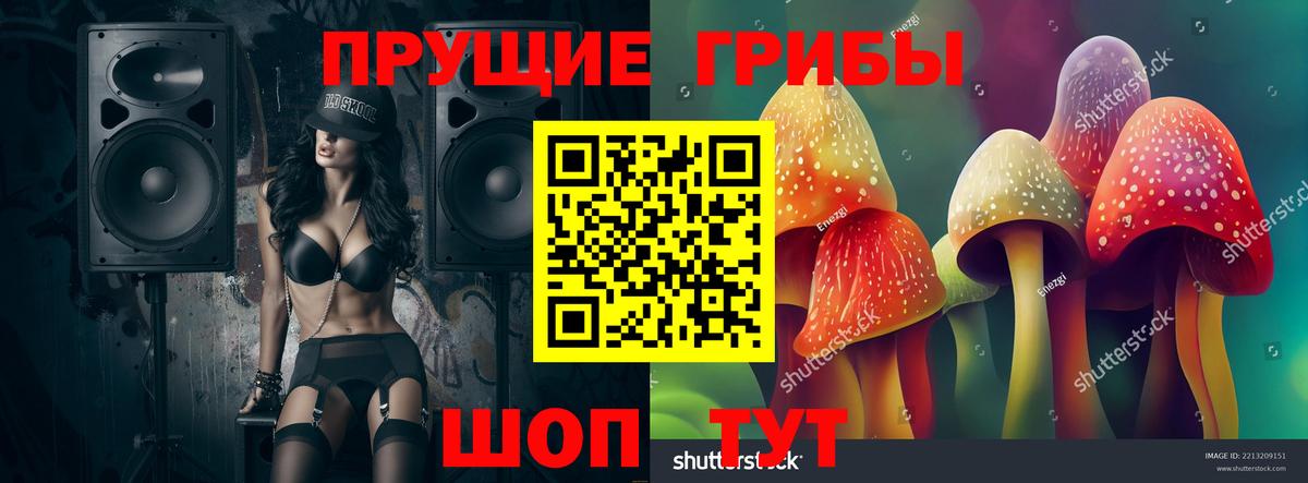 Туймазы  Псилоцибиновые грибы GOLDEN TEACHER  Вход с VPN  Псилоцибиновые грибы мицелий 