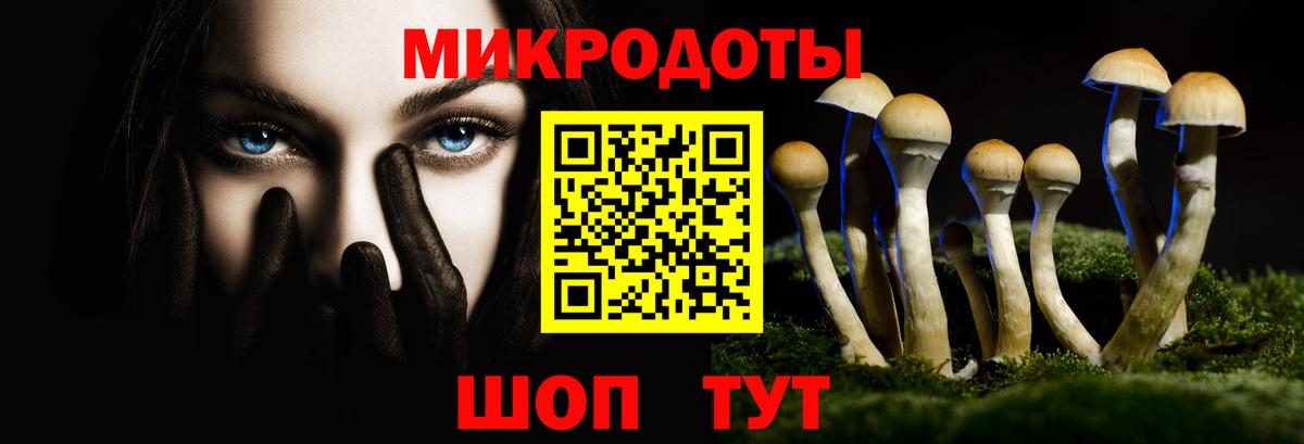Псилоцибиновые грибы Psilocybe Туймазы